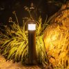 den-cot-cam-san-vuon-led-12w-trang-tri-canh-quan-ngoai-troi-hien-dai-chong-nuoc-ip65-h40cm-60cm-80cm-dl-nsv2150-1